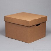 Kraft Corrugated Newspaper Storage